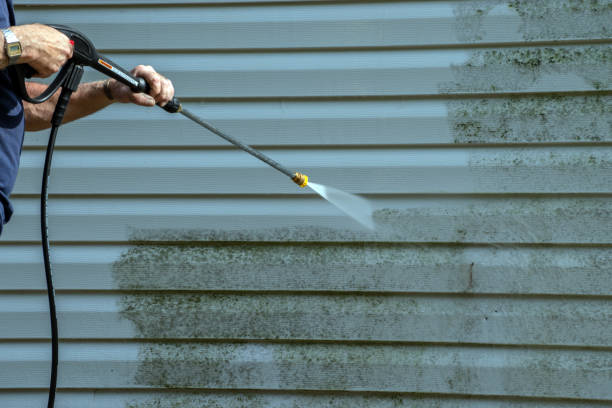 Best Affordable Power Washing  in Bertville, AL