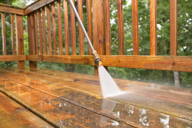 Best House Pressure Washing  in Bertville, AL